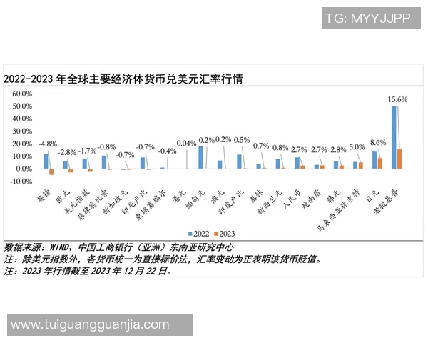 全球经济形势下的投资机会与风险解析，如何在不确定环境中稳步前行